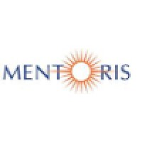 Mentoris Solutions Pvt Ltd