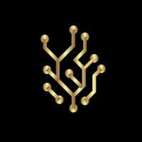 Renaissance Software LLC logo - Similar company to Renaissance Software Technologies