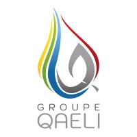 GROUPE QAELI logo - Similar company to Lorflam
