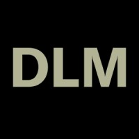Design Leader Mindset logo - Similar company to Mavenray