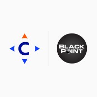 BlackPoint IT Services logo - Similar company to Compassmsp