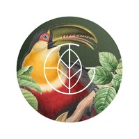 Gazon logo - Similar company to Full Circle Management