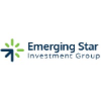 Emerging Star Investment Group