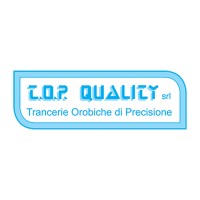 TOP QUALITY SRL | Trancerie Orobiche di Precisione logo - Similar company to Ledtek.At
