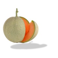 Melopepo Pte Ltd logo - Similar company to Aimatix