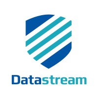Datastream LLC logo - Similar company to Itsourceua