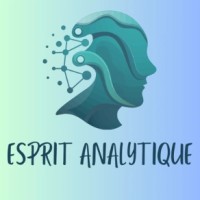 Esprit Analytique logo - Similar company to Dewall Ads™️