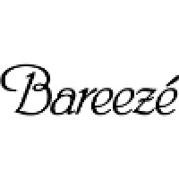 Sefam Pvt Limited (Bareeze) logo - Similar company to Flyingfox Creations