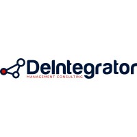 De Integrator - Management Consulting