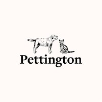 Pettington logo - Similar company to Cloudwork