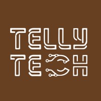 TELLY TECH logo - Similar company to Numericskill