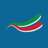 bandiere.it logo - Similar company to Bizonweb