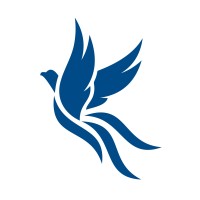 Bluewill GmbH logo - Similar company to Badem Media