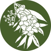 Kola Capital Partners logo - Similar company to Lerner Solutions