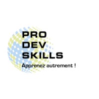 Pro Dev Skills logo - Similar company to La Sg-Service