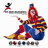 Red Sea Academy For Tourism & Entertainment Services logo - Similar company to D&D Entertainment Group