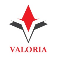 Valoria Business Solutions logo - Similar company to Valorise