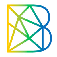 Briviant Inc. logo - Similar company to Google Developer Students Club - Uka Tarsadia University