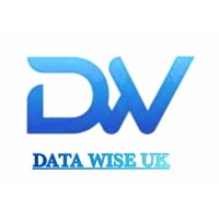 Data Wise UK logo - Similar company to Pdv Ltd