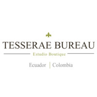 Tesserae Bureau de Abogados logo - Similar company to Palferc Abogados