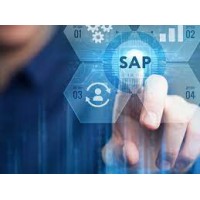 SAP PaPM Training logo - Similar company to Orbit Cloud Technologies