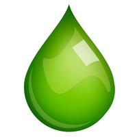 Paulex Environmental