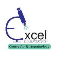 Excel Diagnostics Pune logo - Similar company to Granth Technoforge
