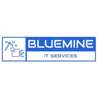 BLUEMINE IT SERVICES PVT LTD logo - Similar company to Bluemine