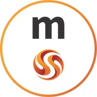 Media Systems Advertising Agency logo - Similar company to Media Systems