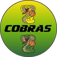 COBRAS BASKETBALL CLUB LIMITED logo - Similar company to Bk Ventspils