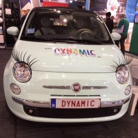 Dynamic Service logo - Similar company to Pro Chef Kroketten