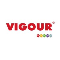 HPS VIGOUR logo - Similar company to Vigotec Safety