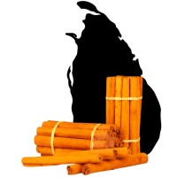 Cinnamon Paradise logo - Similar company to Re24