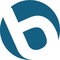 bluevista logo - Similar company to Virtualys