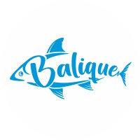 Balique logo - Similar company to Digital Pink
