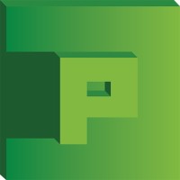 PolyPixel logo - Similar company to Riverwind Studios