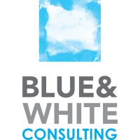Blue White Consulting logo - Similar company to White And Blue Consultancy Pvt Ltd