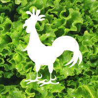 Urban Roots logo - Similar company to The Ferrato Co.