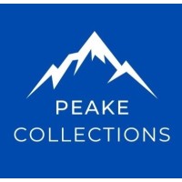 Peake Collections logo - Similar company to Tyto