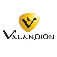 Valandion logo - Similar company to Aesion