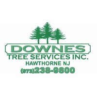 Downes Tree Service logo - Similar company to A & W Tree Service