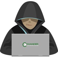 Chancer Technologies Limited logo - Similar company to Open Window University
