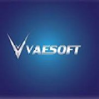 Vaesoft logo - Similar company to Vaēso