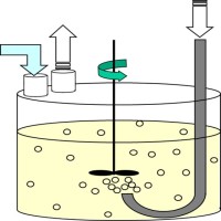 In Silico Fermentation