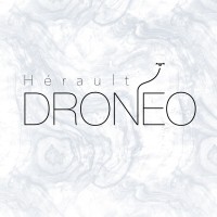 DRONEO logo - Similar company to Barthes Tp