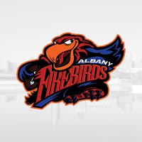 Albany Firebirds logo - Similar company to Adirondack Thunder