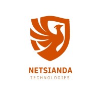 Netsianda Technologies logo - Similar company to Moneytree Group