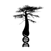 Baobab Genome Project logo - Similar company to Guangxi Fuyu Import And Export Trade Co.,Ltd