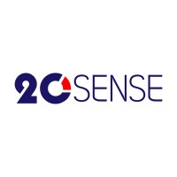20Sense | Research & Consulting logo - Similar company to Hippocketwifi