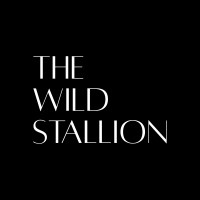 The Wild Stallion logo - Similar company to Blueparrotstudio